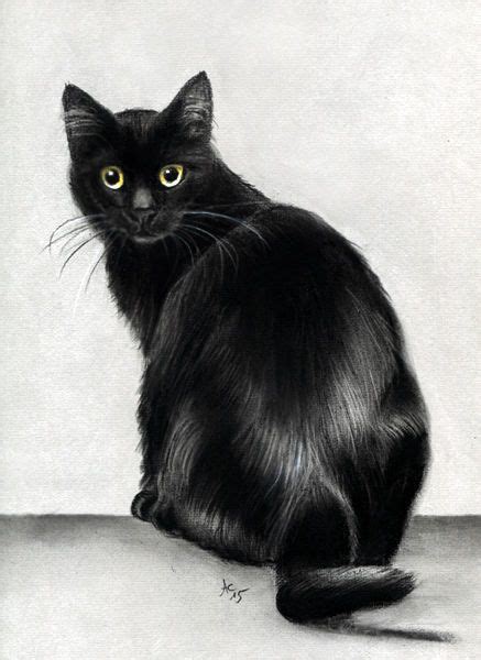 How To Draw A Black Cat Realistic - Howto Techno