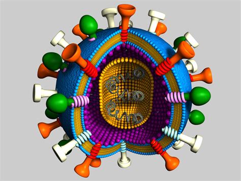 3d model virus receptors dna