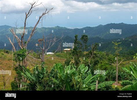 Cordillera central puerto rico hi-res stock photography and images - Alamy