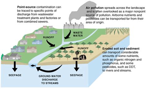 7.3 Water Pollution – Environmental Biology