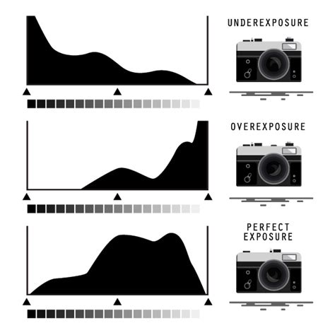 Histogram: Discover How To Take Better Photos By Exposing To The Right