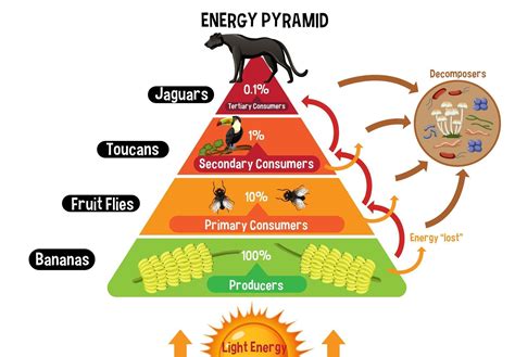 Una Piramide De Energia