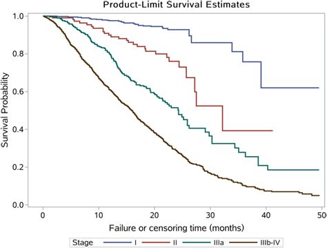 Small Cell Vs Large Cell Lung Cancer Survival Rates - CancerWalls