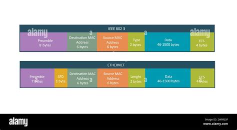 Two standard types of ethernet frame, vector Stock Vector Image & Art - Alamy