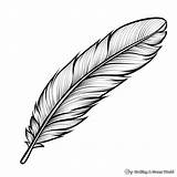 Feather Coloring Pages  Free & Printable sketch template
