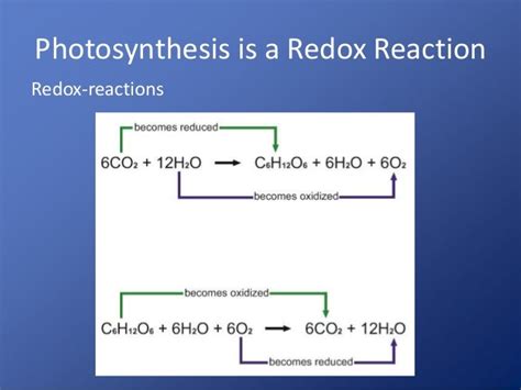 Photosynthesis Updated