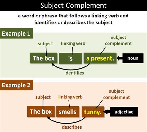 Subject Complement: Explanation and Examples