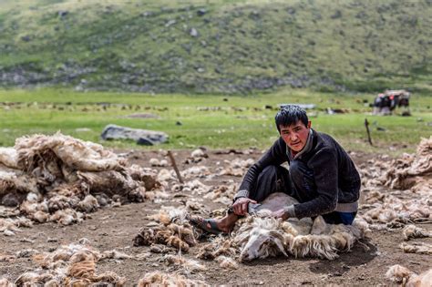 Photos: Inside the lives of Mongolia's nomads | Adventure.com