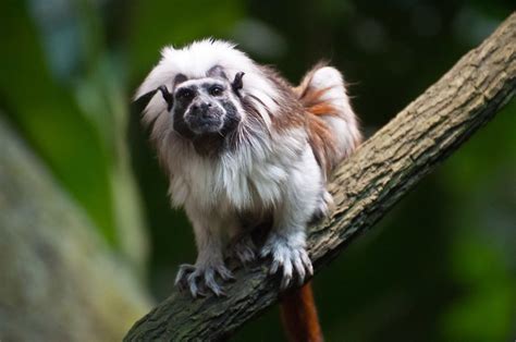 Visit the Montreal Biodome Year-Round