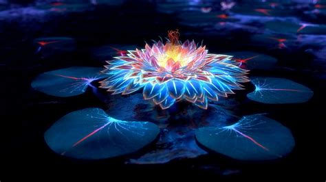 Black Lotus Wallpapers - Top Free Black Lotus Backgrounds - WallpaperAccess