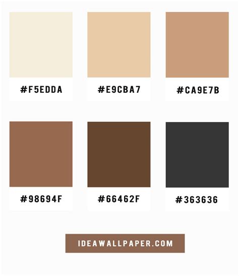 Shades of latte and coffee color scheme, A pretty color palette of coffee