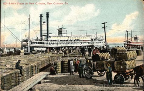 Levee Scene in New Orleans Louisiana Postcard