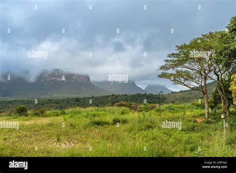 National park Chapada Diamantina, Brazil Stock Photo - Alamy