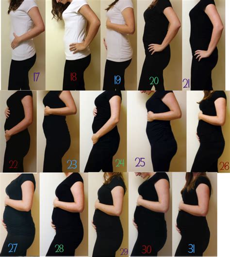 When Does Your Pregnant Belly Begin To Show - pregnantbelly