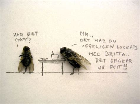 Dead Flies Art (15 pics)