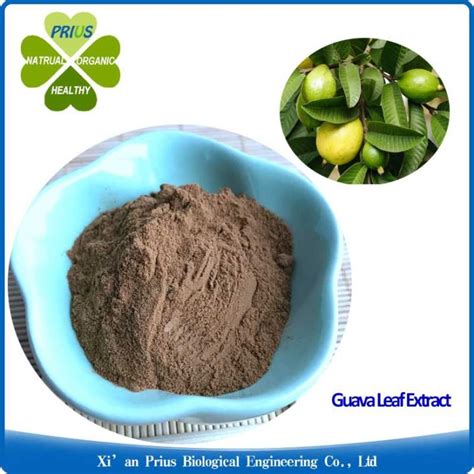 China Customized Guava Leaf Extract Manufacturers, Suppliers - Factory Direct Wholesale - PRIUS