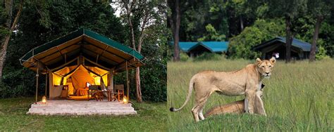 Governors Camp, Masai Mara - Kenya - AfricanMecca Safaris & Tours