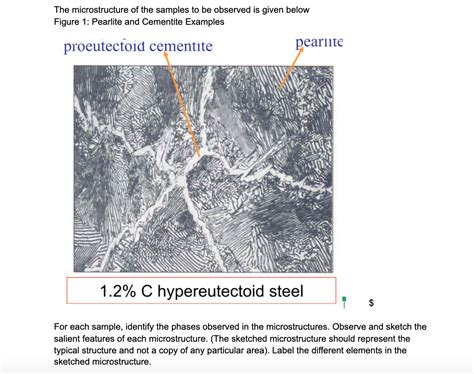 Solved The microstructure of the samples to be observed is | Chegg.com