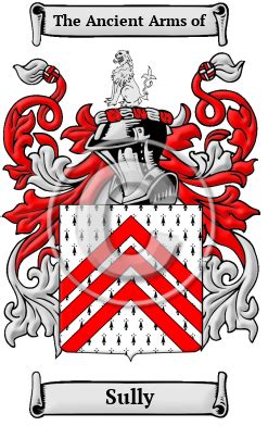 Sully Name Meaning, Family History, Family Crest & Coats of Arms