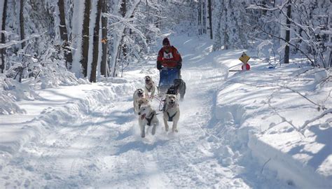 6 Charming Michigan Small Towns to Visit During Winter | Michigan