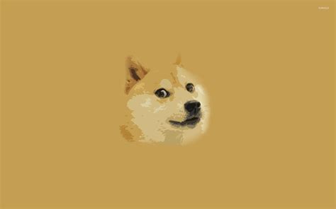 Doge Meme Wallpapers - Top Free Doge Meme Backgrounds - WallpaperAccess