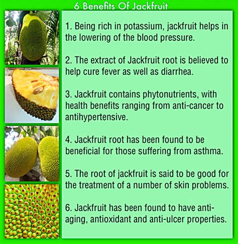 6 BENEFITS OF JACKFRUIT – TTN Palawan - www.ttnpalawan.com