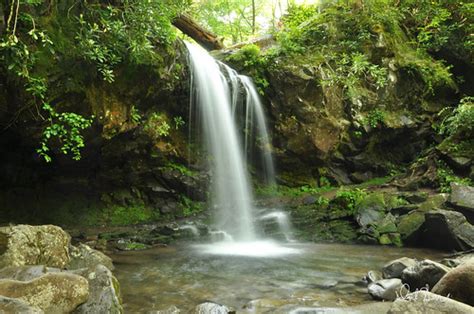 Grotto Falls Trail - Tennessee | AllTrails.com