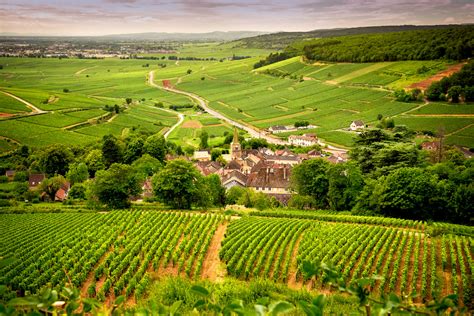 The Essence of Burgundy - LAKAMA LUXURY TRAVEL