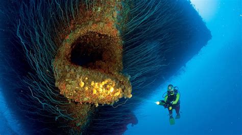 Wreck of USS Saratoga : r/pics