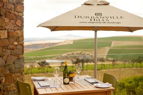 Durbanville Hills Wine Tasting, Cape Winelands | Hotspots2c