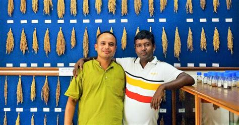 A seed library in Assam is preserving rare rice varieties in the face of climate change