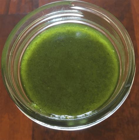 Cilantro Pesto Recipe - Biodynamic Wellness