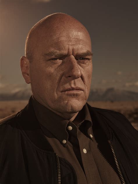 Hank Schrader - Breaking Bad Wiki - Wikia