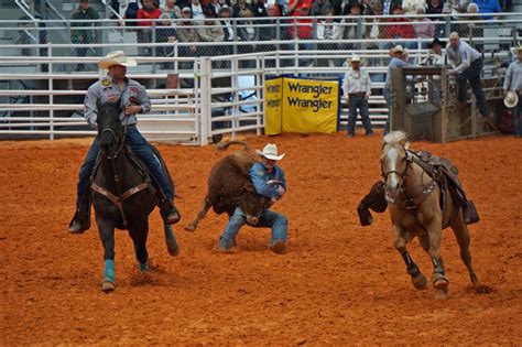 Wild Rides at the Arcadia Rodeo - J. Dawg Journeys