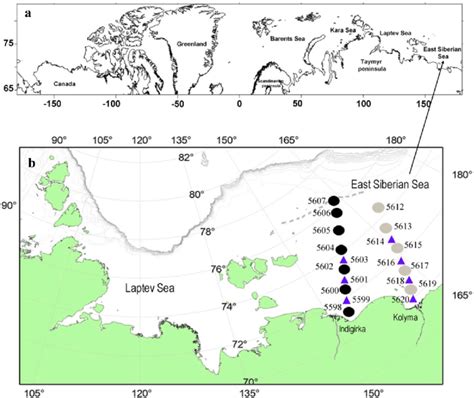 Location of East Siberian Sea (a) and map with station positions in the... | Download Scientific ...