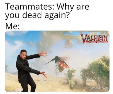 The Best Valheim Memes to Share With Friends | Hostari Blog