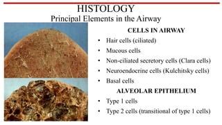 Lung cancer presentation, very helpful and nice presentation | PPT