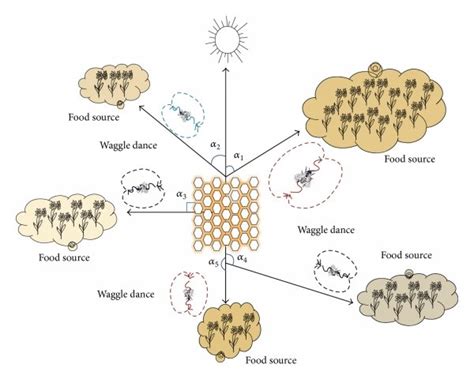 The intelligent foraging behavior of honeybee colony. | Download Scientific Diagram