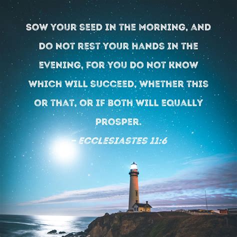 Ecclesiastes 11:6 Sow your seed in the morning, and do not rest your ...