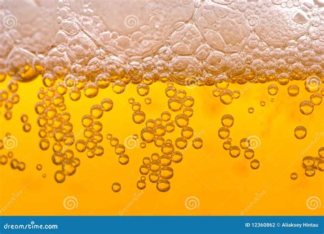 Beer bubbles stock photo. Image of fresh, background - 12360862