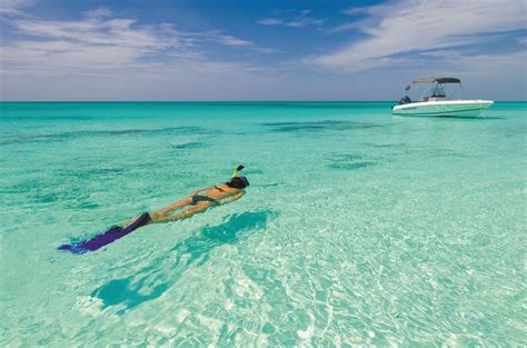 Snorkeling Dreams | Caribbean resort, Grace bay club, Snorkeling