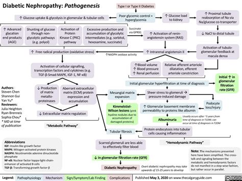 Diabetic Nephropathy: Pathogenesis | Calgary Guide