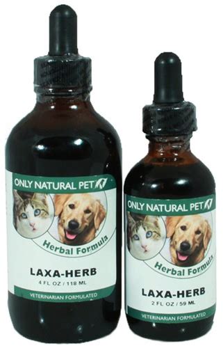 Hairball Awareness Day - Natural Remedies For Cat Hairballs - iHeartCats.com