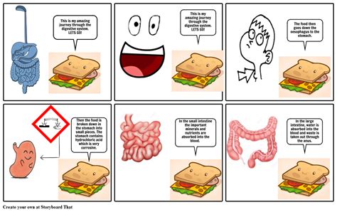 Digestive system Storyboard by 2422b78416056