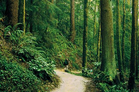 Forest Park Guide: The Best Hikes | Travel & Outdoors | Oregon ...