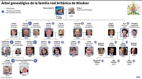 ¿Cómo quedaría el orden de sucesión al trono, tras el nacimiento de la ...