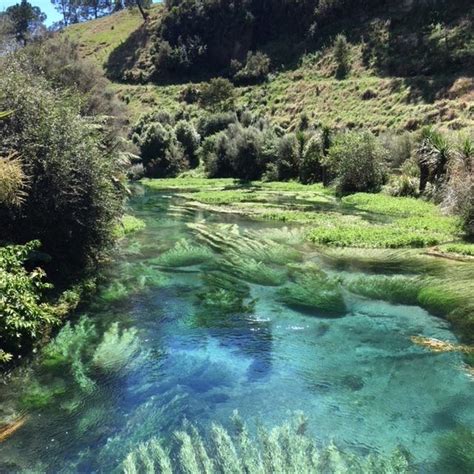 Don't Miss the Putaruru Blue Spring, New Zealand - It's Stunning - Differentville