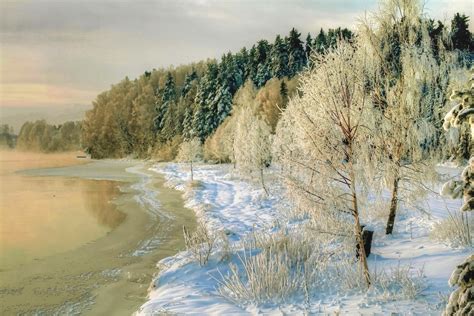 Download Snow Tree Frost River Nature Winter HD Wallpaper