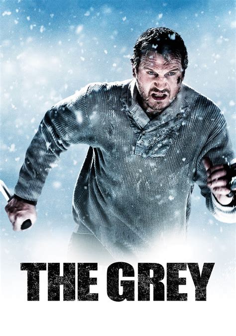 The Grey Picture - Image Abyss