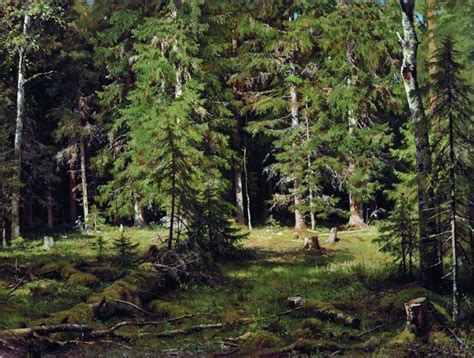 Forest - Ivan Shishkin - WikiArt.org